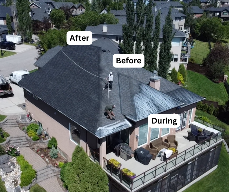 Roof rejuvenation in Natrona County — [REPLACE — Casper-area job]