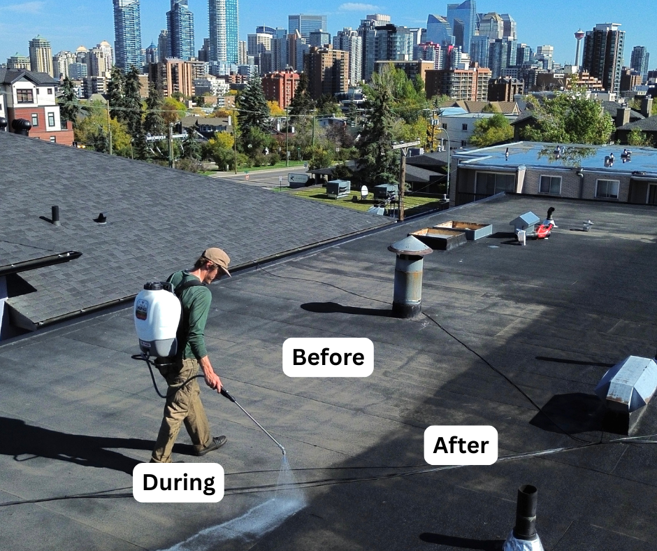 Roof rejuvenation in Natrona County — [REPLACE — Casper-area job]