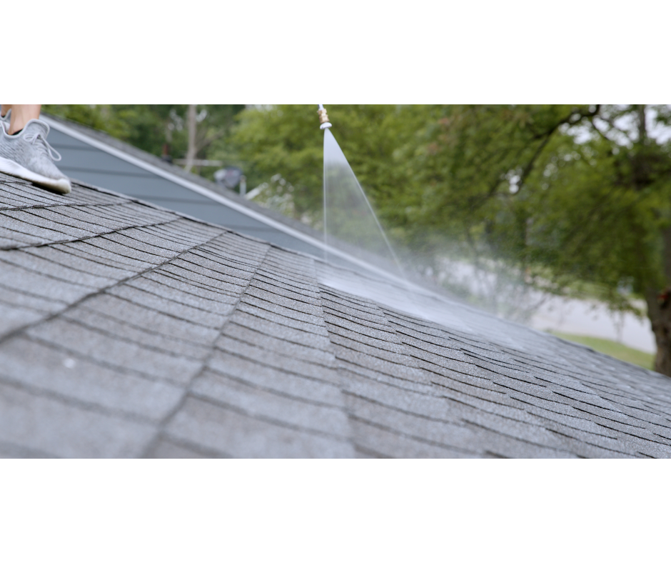 Close-up of GreenSoy treatment being applied to shingles